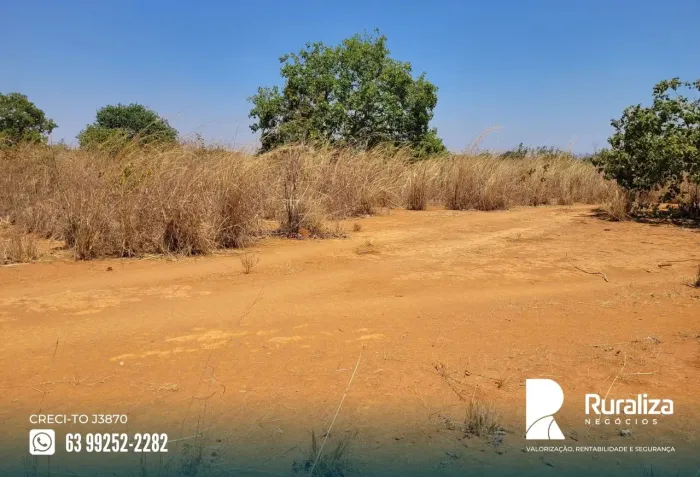 Paraíso - TO 600 ha para arrendamento, TO exclusividade Ruraliza,visita mediante cadastro