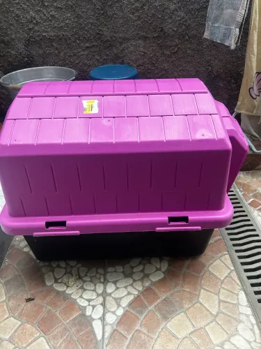 Casinha para cachorro 