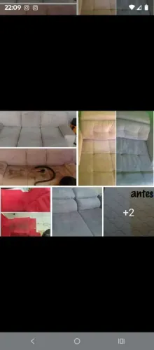 HIGIENIZAÇÃO DE ESTOFADOS A DOMICÍLIO *