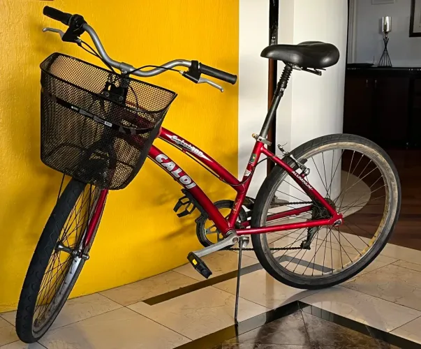 Bicicleta caloi 100