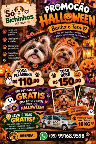 Estética Animal