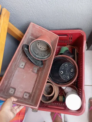 vasos para plantas