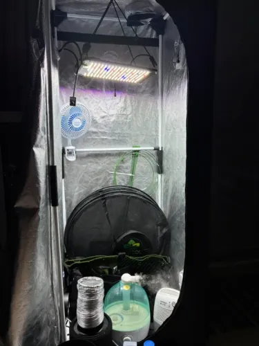 Kit Estufa Grow 60x60cm (pronto pra cultivo)