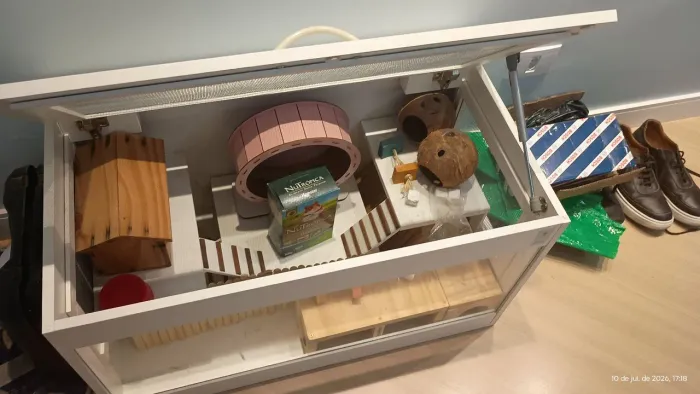 Terrário para hamster