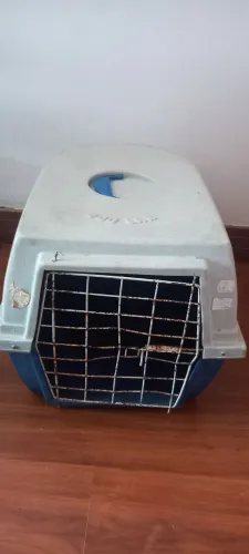 Caixa de transporte Pet n°2