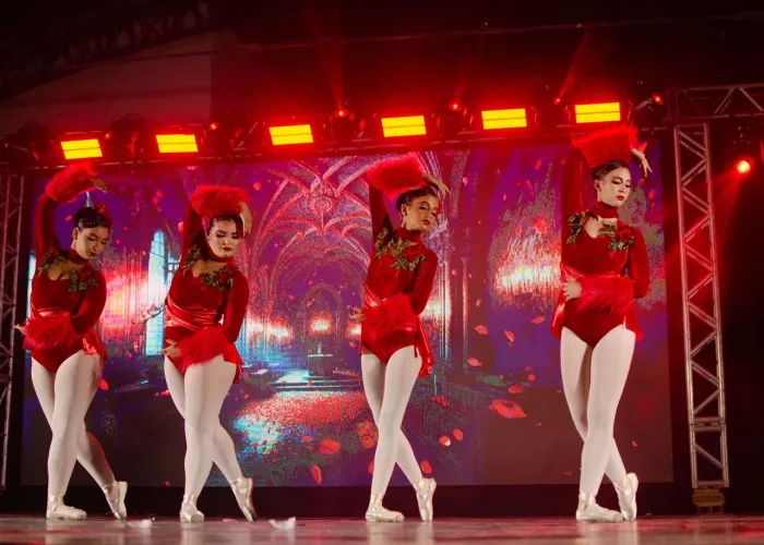 Figurino de ballet