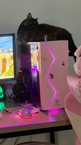 Pc gamer 