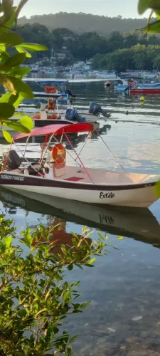 Vendo barco (lancha)