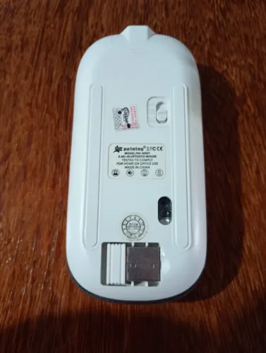 Mouse
