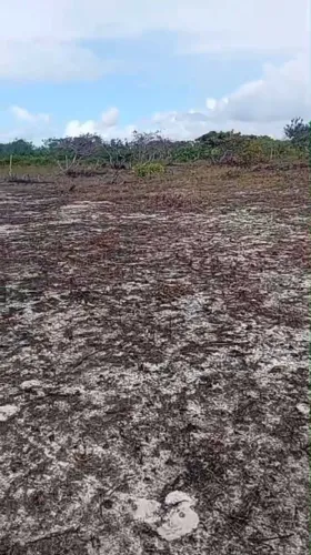VENDO TERRENO MEDINDO 10x50 NO LOTEAMENTO ANGELIM, PRÓXIMO AO JATOBÁ.
