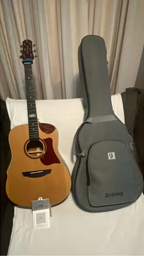 Violão strinberg semi novo 