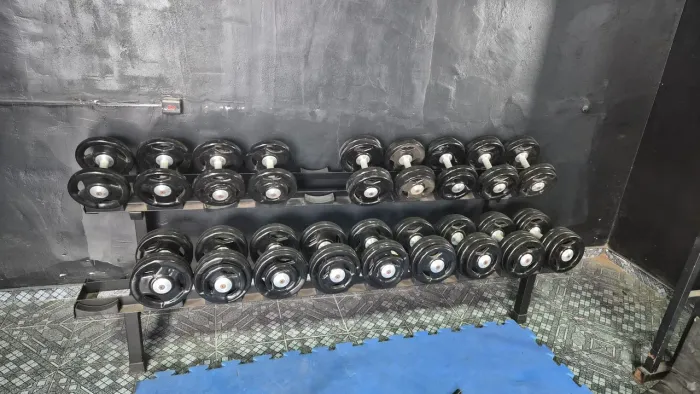 Jogo dumbell 10 ao 30 + suporte -Academia