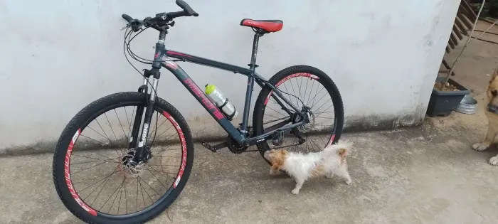 Vendo Bik Aro 29 Quadro 19