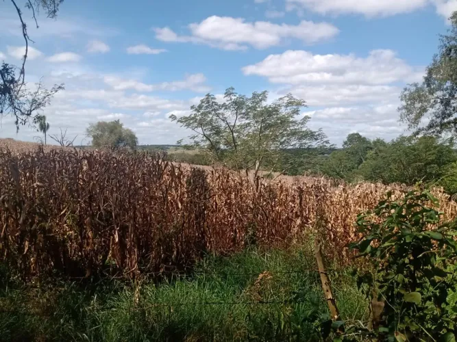 Oportunidade única: Sitio à venda em Angatuba-SP, Zona Rural, 1 quarto, 1 banheiro, 205.70