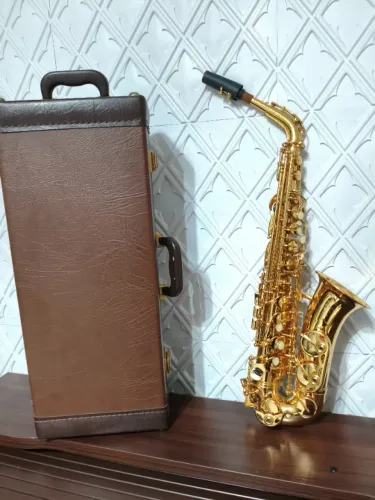 Saxofone Alto Mib Weril Spectra 2 - A932 Dourado Original Nacional