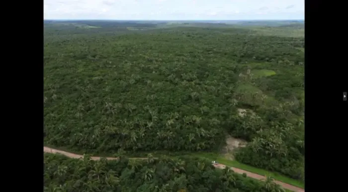 FAZENDA À VENDA  CHAPADINHA/MA  PORTEIRA FECHADA 400 hectares  R$ 3.200.000,00