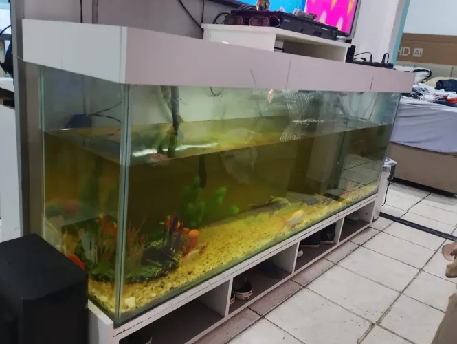 Aquario gigante 