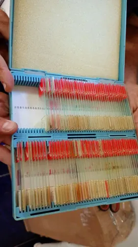 Lâmina para microscópio<br>Com diversos tecidos<br>20 caixa <br>Cada caixa com 100 lâmina