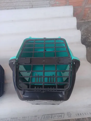 Vendo transporte para animais número 01
