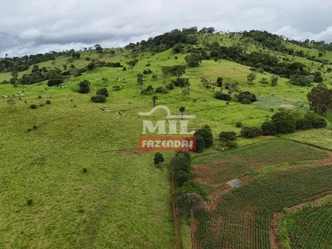 Chacara 4 alqueires (19,36 hectares) Inhumas - GO