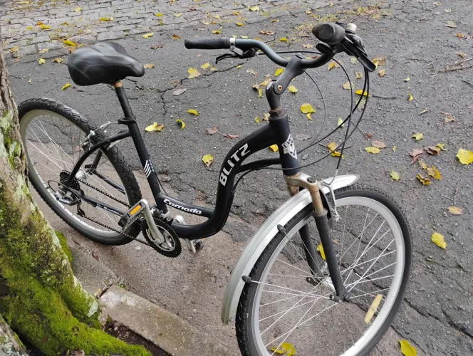 Bicicleta Blitz 