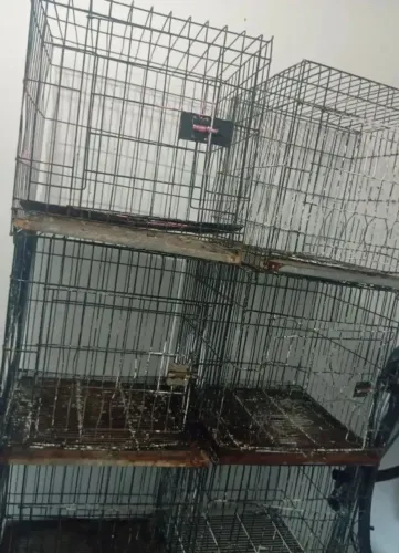 Gaiola pet 3 andares 