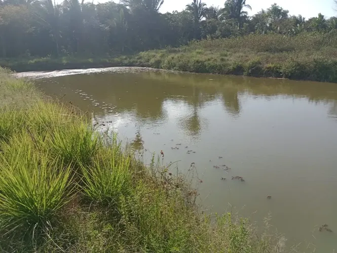 FAZENDA EM BACABEIRA - 54 HECTARES