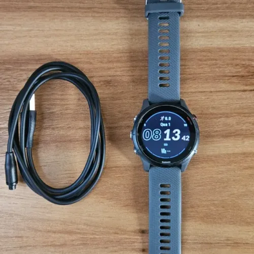 Garmin Forerunner 255