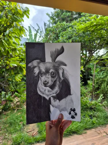 Desenhos Realistas e Line Art sob Encomenda (Retratos, Pets e Ídolos)