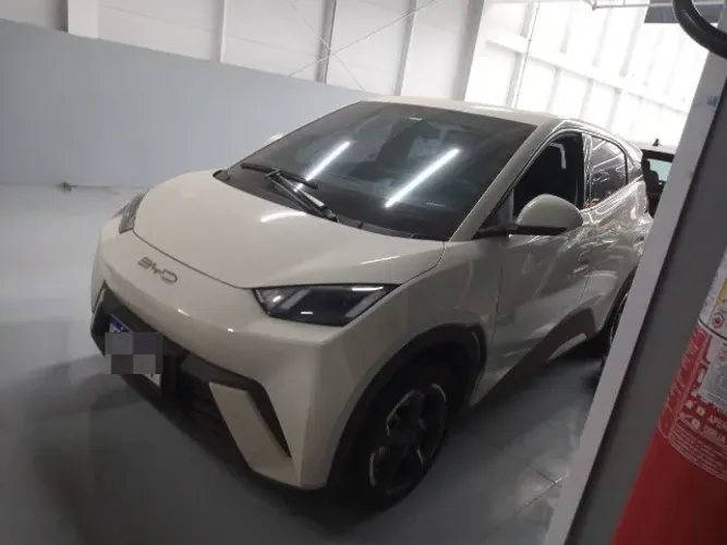 BYD Dolphin Mini (Elétrico) 2025