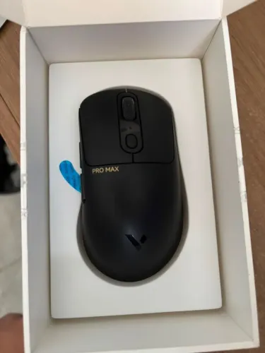 mouse