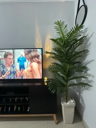 Plantas articulais