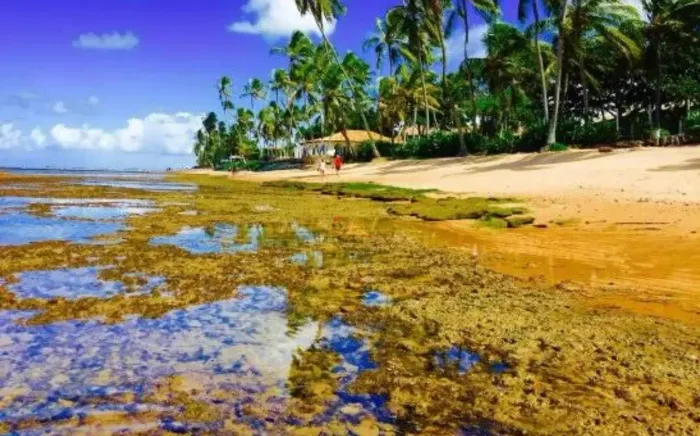 Lotes 200m² Condomínio Fechado Olhos DÁgua Próximo Praia do Forte R$50mil