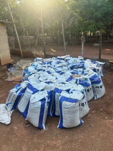     Cama de Frango para Horta, Jardim e Pastagem