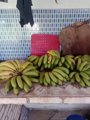 Alugo pata feriados e finais de semana.