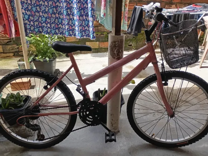 bike aro 24