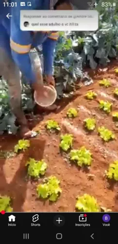 Me ofereço, caseiro OBS:com gado eu nao tenhoeriencia com gado
