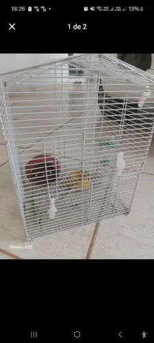 Gaiola de hamster ou calopsitas