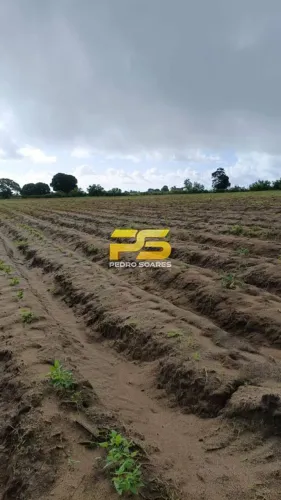 Vendo 2 Hectares em Praia Bela