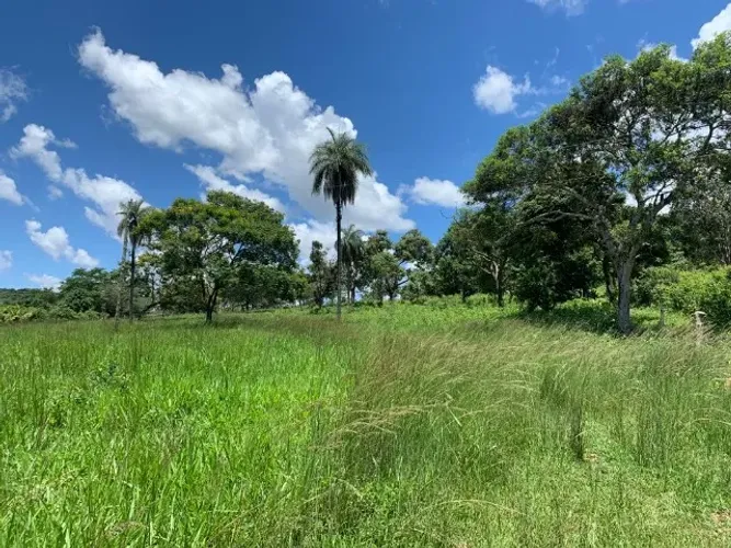Terreno 4.5 ha, 100% formado em pastagem, agua corrente nos fundos, pomar.