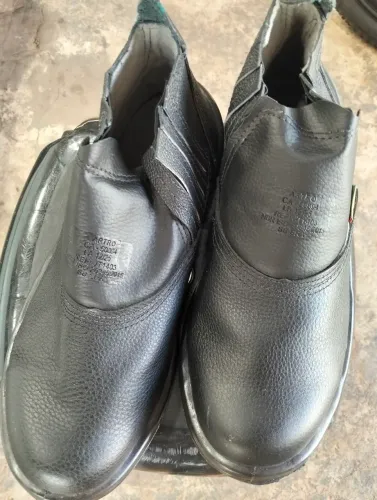 Bota