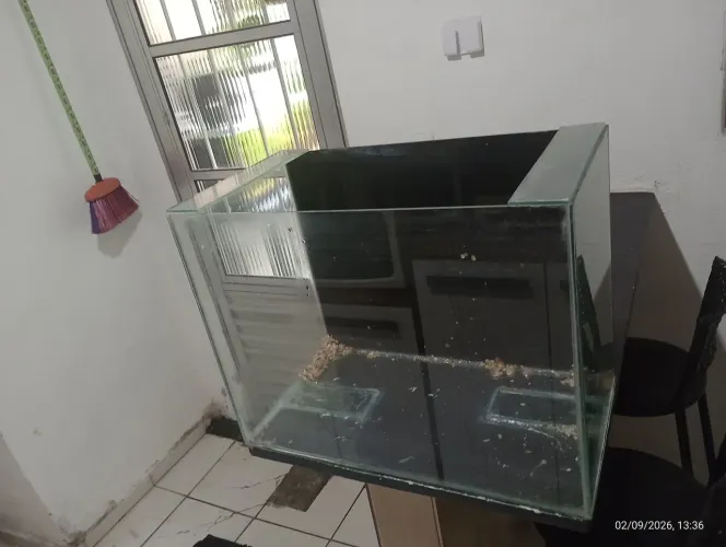 Aquário 60 litros