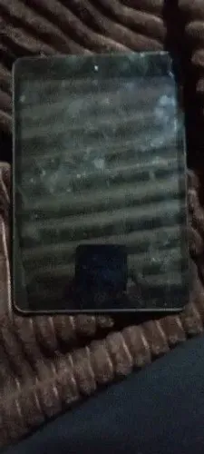 Mini iPad 