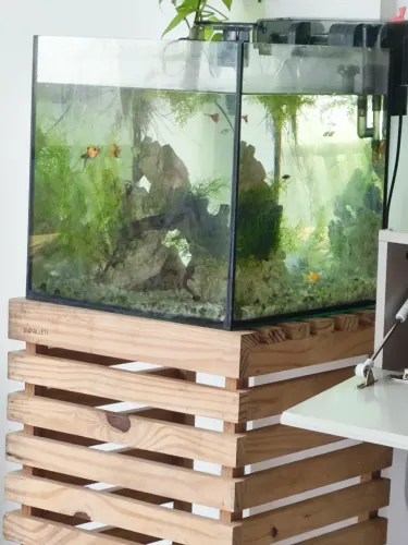 Aquário cubo  64 litros  completo 