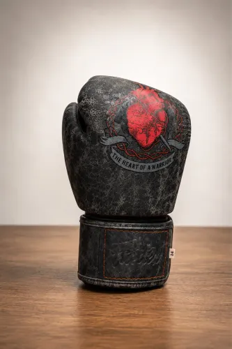 Par de Luvas Profissionais Fairtex ( valor de loja = R$ 1.899,00 )
