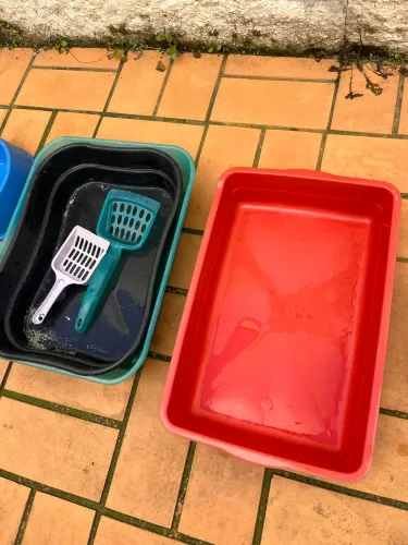 Produtos para gatos
