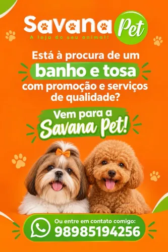 Banho e tosa 