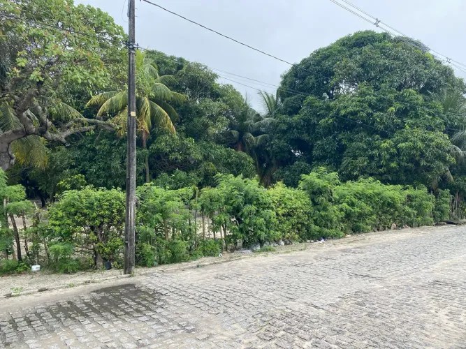 Terreno em Parnamirim
