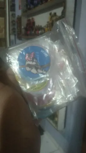 Lote mais de 50 tazos animais em extinção