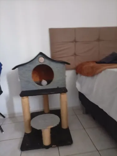 Toca e casinha com arranhador para gatos 
